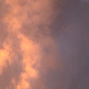 Meet your Posher, Sofia